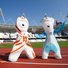 Torches & Mascots