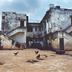 Zarina Bhimji