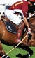 Polo in the Park Polo in the Park