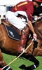 MINT Polo in the Park photo