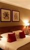 Best Western Palm Hotel London London