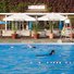 Brockwell Lido