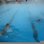 London Fields Lido
