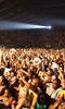 One Love Peace Festival photo One Love Peace Festival photo