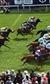 Investec Derby Festival