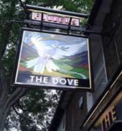 The Dove