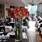 Smollensky's -  Canary Wharf