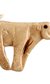 Ice Age Art: Arrival of the Modern Mind Ice Age Art: Arrival of the Modern Mind