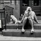 Elliot Erwitt hotels title=
