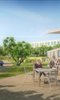 Queen Elizabeth Olympic Park First Phase Opening photo