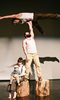 Cirque Alfonse: Timber! photo
