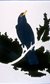 Gary Hume Gary Hume