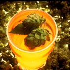 Craft Beer Rising