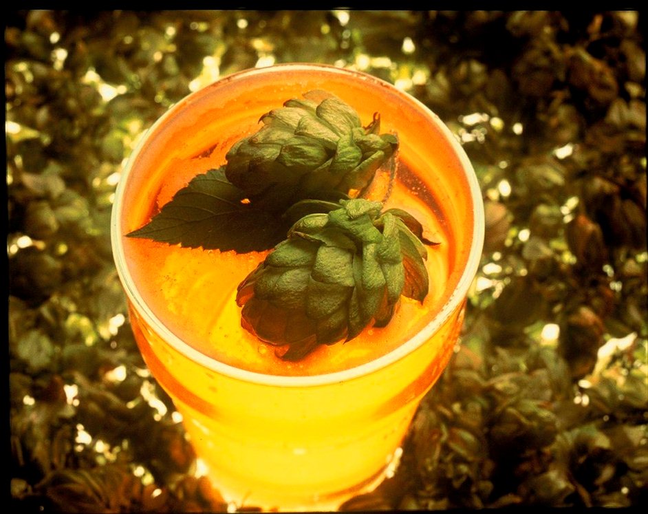 Craft Beer Rising Image from LondonTown.com Craft Beer Rising