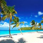 A Place in the Sun Live hotels title=
