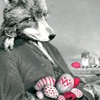 Crafty Fox Market hotels title=