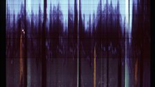 Participatory Photography Commission - A slit scan image compiled from footage from Battersea Park