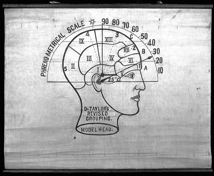 Wonder: Art and Science on the Brain