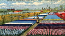 Floriculture: Flowers, Love and Money, Garden Museum