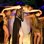 Black Cat Cabaret at Cafe de Paris