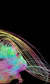 Universal Everything & You Universal Everything & You