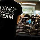 Dino Snores for Kids - Christmas Special hotels title=