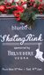 The Bluebird Skating Rink The Bluebird Skating Rink