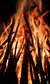 Fire Festival Fire Festival