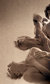 English National Ballet: Lest We Forget English National Ballet: Lest We Forget