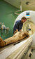 Ancient Lives: New Discoveries Ancient Lives: New Discoveries
