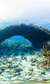 Coral Reefs: Secret Cities of the Sea Coral Reefs: Secret Cities of the Sea