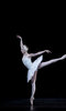 The Royal Ballet: Swan Lake The Royal Ballet: Swan Lake