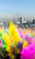 House of Holi House of Holi