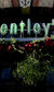 The Feast of St Patrick at Bentley's The Feast of St Patrick at Bentley's