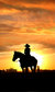 English National Opera: The Girl of the Golden West English National Opera: The Girl of the Golden West