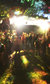 Kopparberg Urban Forest Kopparberg Urban Forest