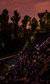 Luna Cinema: Regent's Park Open Air Theatre Luna Cinema: Regent's Park Open Air Theatre