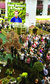 Ideal Home Show Ideal Home Show