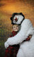 The Snowman The Snowman