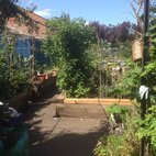 St Quintin Community Kitchen Garden