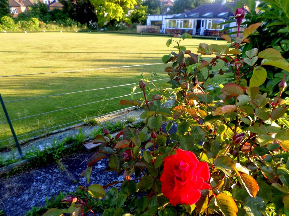 West London Bowling Club - West London Bowling Club, Ladbroke Grove, W10 6PL