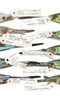 A Museum of Modern Nature A Museum of Modern Nature