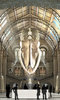 Whales: Beneath the surface Whales: Beneath the surface