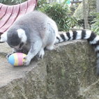 Easter Egg Hunt at Battersea Park Zoo hotels title=