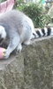 Easter Egg Hunt at Battersea Park Zoo Easter Egg Hunt at Battersea Park Zoo