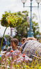 Alexandra Palace Summer Festival Alexandra Palace Summer Festival