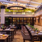 Novikov Restaurant & Bar