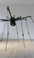Artist Rooms: Louise Bourgeois Artist Rooms: Louise Bourgeois