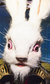 Alice's Adventures Underground Alice's Adventures Underground