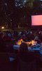 Barnes Film Festival Barnes Film Festival